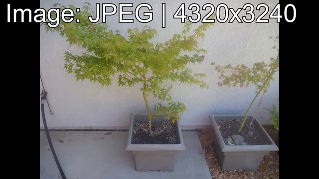 A Waterproof Panasonic Digital Camera - Panasonic Lumix DMC-TS2