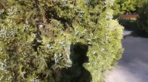 Памятник Казакам в станице Пашковской.