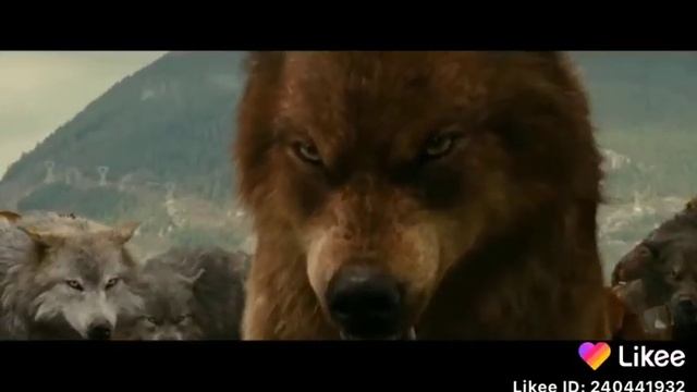 Вовкы сумерки  песня барная стойка смотреть онлайн