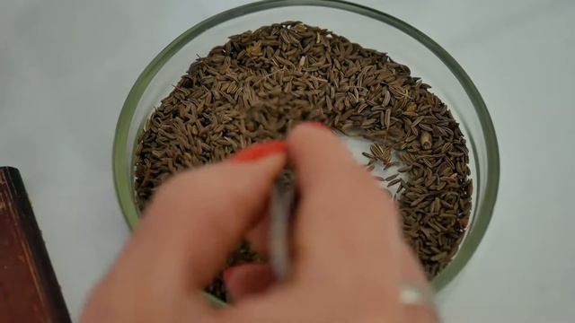 Управление проконтролировало ввоз зарубежных семян и саженцев смотреть онлайн