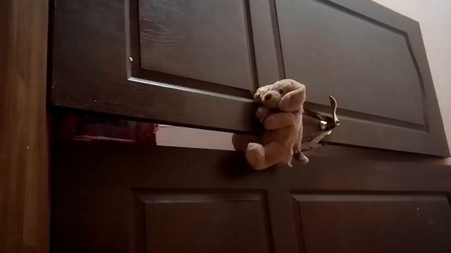 распаковка одежды ??