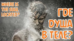 Где находится душа в теле человека? - Жизнь после смерти есть