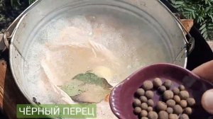 Уха из хребтов лосося.Как приготовить уху.Обед на природе.