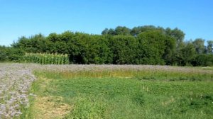 кассетный павильон для пчел ( часть 5)