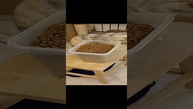 В большой коробке еда вкуснее.
17.02.24