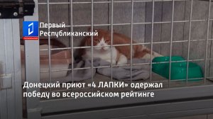 Донецкий приют «4 ЛАПКИ» одержал победу во всероссийском рейтинге