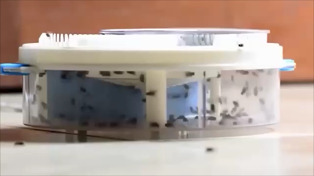 Ловушка