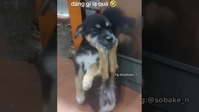 Главное, что ему удобно.