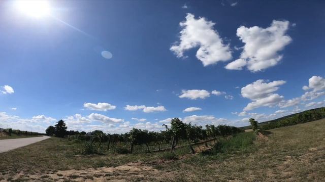 Kellergassen rad route Poysdorf смотреть онлайн