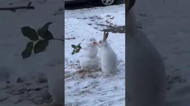 Bunny eats snowman’s carrot nose