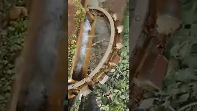 New tricks that how to make water by mail cow смотреть онлайн