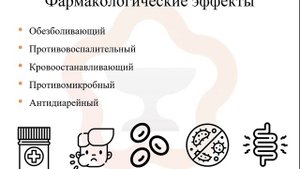 3.4. Вяжущие средства