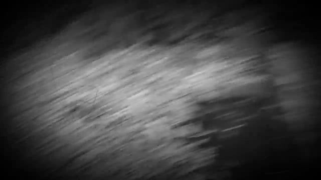 Мы нашли череп лошади смотреть онлайн