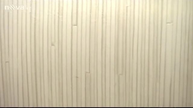 Rady Ptáka Loskutáka - PVC Podlahové Krytiny