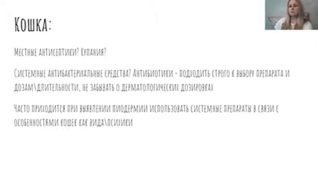 Дерматологія для заводчиків котів. Анастасія Шпигунова смотреть онлайн