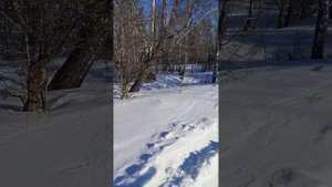 cf moto x6 на снегу
