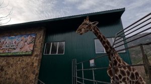 Ялта зоопарк Сказка в Крыму от Олег Зубков. Отдых в Крыму зимой