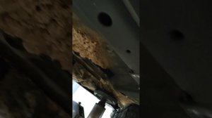 Нулевое  ТО,на HAVAL M6