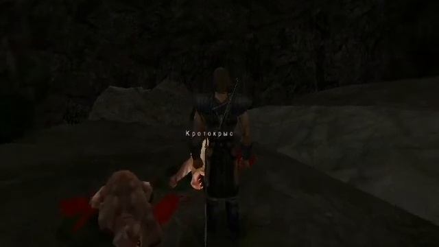 Gothic 1 Прохождение часть 24 Помощ Магам Воды смотреть онлайн