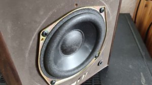 Technics 2 Way Speaker System SB-CA01A
