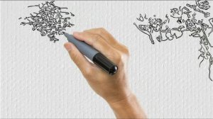 Видео упражнения для правой руки. Баян.