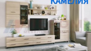 гостиная камелия, мебельная фабрика ЛЕРОМ