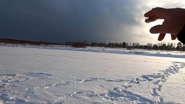 Мой первый лёд 2021-22 смотреть онлайн