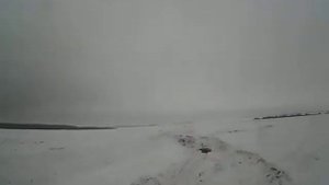 Соболь 4Х4 Бизнес Cummins по снегу