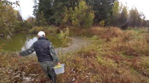 рыбалка на хлебные банки. наловил много рыбы без удочки на пластмассовую 5 литровую бутылку.