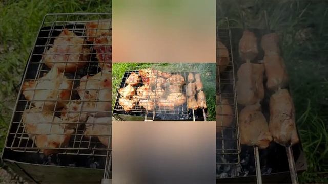 скорлупа от грецкого ореха, шашлык на ней