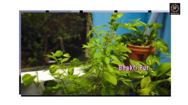 Powerful Gayatri Mantra 108 Times|Om Bhur Bhuva Swaha| गायत्री मंत्र |ओम भूर भुवा स्वाहा |Bhakti Pu