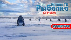 Сидим дома  смотрим телек