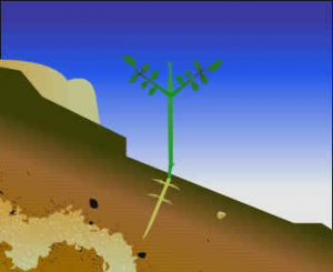 ГЕОТРОПИЗМ