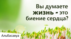 Вы думаете жизнь это биение сердца? Альбасавуа