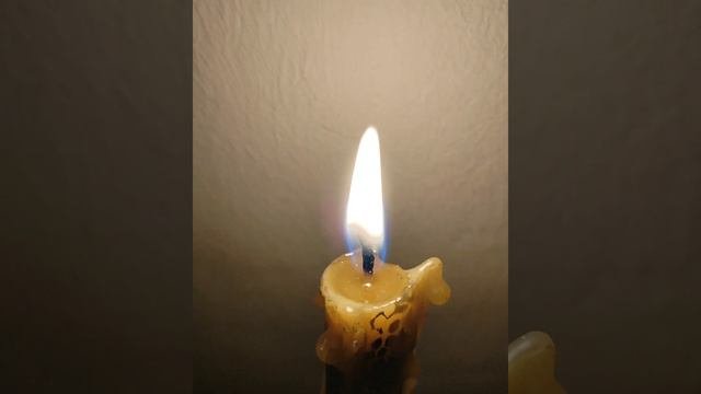Евангелие от Иоанна. Глава 12 .