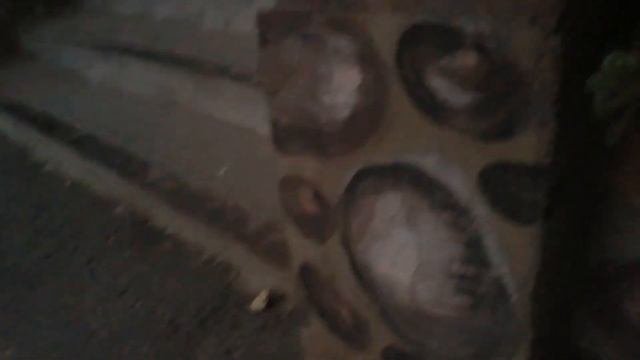 ЧУДО-ПОДЪЕЗД  В ПРОСТОМ ДОМЕ. ДРУЖНЫЕ ЖИТЕЛИ ПОДЪЕЗДА ВСЁ СДЕЛАЛИ САМИ