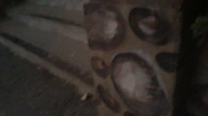 ЧУДО-ПОДЪЕЗД  В ПРОСТОМ ДОМЕ. ДРУЖНЫЕ ЖИТЕЛИ ПОДЪЕЗДА ВСЁ СДЕЛАЛИ САМИ