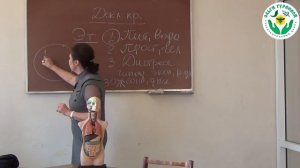 Питание и зрение. Видео лекция Гуреевой О.Е. (УОЦ Ольги Гуреевой, Ижевск)