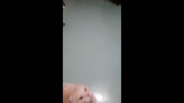 #Игрушкакотик