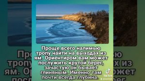Что такое налимья тропа? #налим #ловляналима #налимосенью #налимзимой #интересныефакты #печеньналим