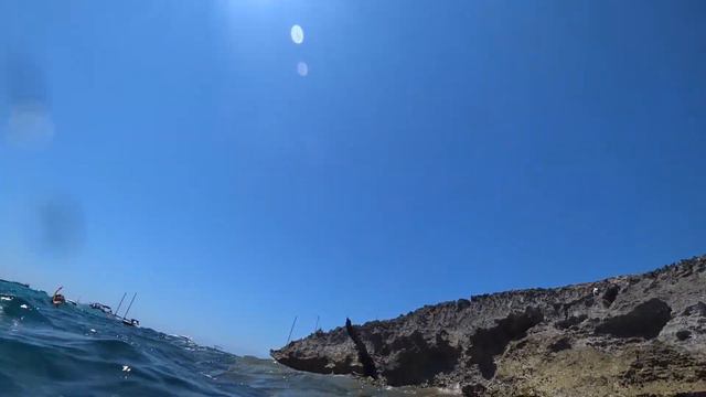 Птиц отправился ловить рыб смотреть онлайн