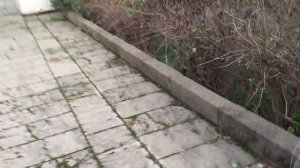 ЗАБРОШЕННЫЙ ПАРК АТТРАКЦИОНОВ [2/2] В БАКУ: ВЛОГ