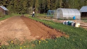 Фрезеруем и нарезаем боровки  на мотоблоке