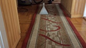 19 year old/letni ZELMER Wodnik 5 Profi System, model 619.5.B51E - pranie dywanu | carpet washing