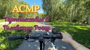 АСМР путешествие в Гилевскую рощу