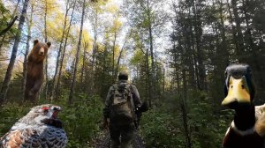 ШЁЛ ЗА РЯБЧИКОМ, А ДОБЫЛ… СЛЕДЫ МЕДВЕДЯ. ХОДОВАЯ ОХОТА'23