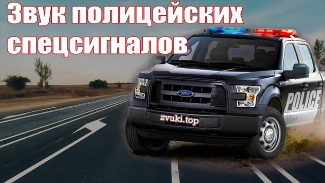 Звук сирены с крякалкой полицейской машины. Звуки спецсигналов полиции слушать