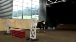 Клип конный спорт (Стань)