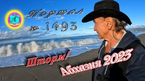 #Абхазия2023 🌴17 ноября❗Выпуск №1493❗ Погода от Серого Волка🌡вчера +18°🌡ночью +9°🐬море +20°