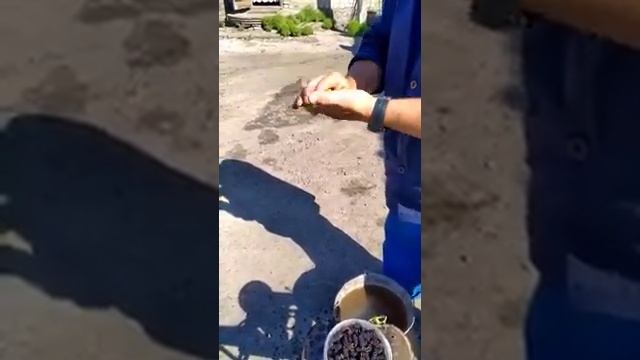 Лайфхак как быстро отмыть руки от шелковицы смотреть онлайн